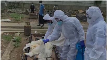 പക്ഷിപ്പനി; ഫാമിന് പുറത്ത് പക്ഷിപ്പനി സ്ഥിരീകരിച്ചിട്ടില്ല, താറാവുകളെ കൊന്നൊടുക്കാൻ തുടങ്ങി