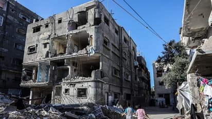 MEA 'deeply saddened' by death of ex-Indian Army officer with UN in Gaza's war-torn Rafah