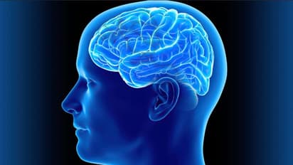 മരണ നിരക്ക് 97%, ഈ രോഗമുക്തി രാജ്യത്ത് അപൂര്വം; കോഴിക്കോട്ടുകാരന്റെ അമീബിക് മസ്തിഷ്ക ജ്വരം ഭേദമായി