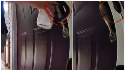 വാതിലിന്റെ പിടിയിൽ ചുറ്റിയിരുന്ന് പാമ്പ് ; വീഡിയോ കാണാം 