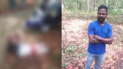 ഫോണ് ചെയ്ത് കാടിനുള്ളിലേക്ക് വിളിച്ചുവരുത്തി, ഭാര്യയെ ചുറ്റികക്ക് അടിച്ച് പരിക്കേൽപ്പിച്ചു; ഭർത്താവ് പിടിയിൽ