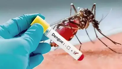 Bengaluru’s BBMP prepares combat strategy to curb spread of Dengue cases in Silicon City