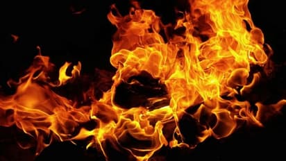 15 injured in firecracker explosion during Puri's Jagannath festival; check details