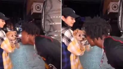 ನಾಯಿ ಜೊತೆ ತಮಾಷೆ ಮಾಡಲು ಹೋಗಿ ಸರಿಯಾಗಿ ಕಚ್ಚಿಸಿಕೊಂಡ ಯೂಟ್ಯೂಬರ್: ವೀಡಿಯೋ ವೈರಲ್