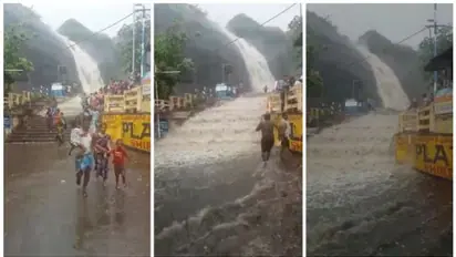 Tamil Nadu: Teen boy washed away in flash floods at Old Courtallam falls in Tenkasi; WATCH dramatic videos