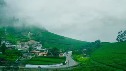 OOTY TOUR : ஊட்டிக்கு டூர் போறீங்களா.? மழை பாதிப்பு எப்படி இருக்கு தெரியுமா.? ஆட்சியர் வெளியிட்ட எச்சரிக்கை