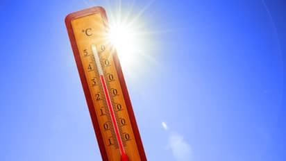 49 ഡിഗ്രി കടന്ന് രാജ്യതലസ്ഥാനത്തെ താപനില; ഉഷ്ണതരംഗത്തിൽ വലഞ്ഞ് വടക്കേ ഇന്ത്യ