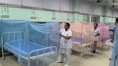 Dengue Fever: தொடர் மழை எதிரொலி; மதுரை அரசு மருத்துவமனையில் 25 படுக்கைகளுடன் சிறப்பு வார்டு