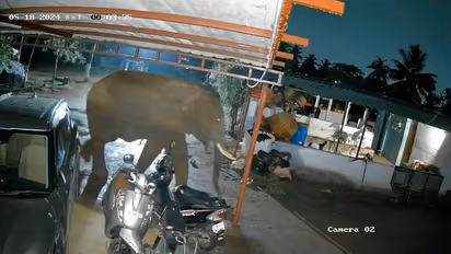 நள்ளிரவில் ஊருக்குள் புகுந்து அட்டகாசம் செய்த காட்டு யானை; உயிர் பயத்தில் வீட்டிற்குள் பதுங்கிய மக்கள்