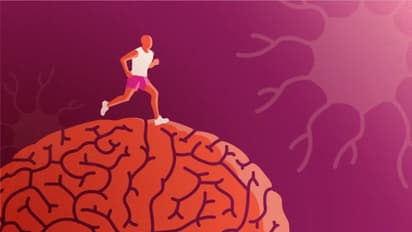 Health Tips: തലച്ചോറിന്‍റെ ആരോഗ്യത്തിനും ബുദ്ധിശക്തി കൂട്ടാനും ചെയ്യേണ്ട കാര്യങ്ങള്‍