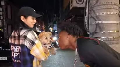 പട്ടിയെ നോക്കി 'കുരച്ചു', യൂട്യൂബറിന്റെ മൂക്കിനിട്ട് കടിച്ചു, വീഡിയോ വൈറൽ