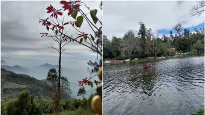 'ഇ-പാസ് ഏർപ്പെടുത്തിയ ശേഷം സഞ്ചാരികളുടെ വരവ് കുറഞ്ഞു': കൊടൈക്കനാലിലെ വ്യാപാരികൾ