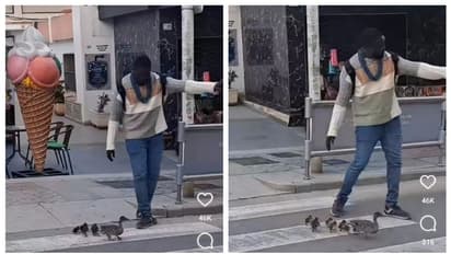 അമ്മ താറാവിനും കുഞ്ഞുങ്ങള്ക്കും റോഡ് മുറിച്ച് കടക്കാന് യുവാവിന്റെ സഹായം; അഭിനന്ദിച്ച് സോഷ്യല് മീഡിയ