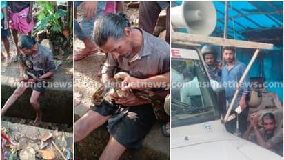 പെരുമ്പാമ്പിനെ കഴുത്തിലിട്ട് ബാറിന് മുന്നിൽ അഭ്യാസം; 44കാരനെ പൊലീസ് പിടികൂടി വനംവകുപ്പിന് കൈമാറി