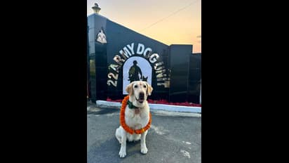 ಸೇನೆಯಿಂದ ನಿವೃತ್ತಿಯಾದ ಮೇರು ನಾಯಿಗೆ ಭಾವುಕ ಬೀಳ್ಕೊಡುಗೆ, ಎಸಿ ಕೋಚ್‌ನಲ್ಲಿ ತವರಿಗೆ ಪ್ರಯಾಣ!