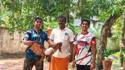 ഒടുവിൽ പിടി വീണു! നാട്ടുകാരെ പുറത്തിറങ്ങാൻ അനുവദിക്കാത്ത പരുന്തിനെ പിടികൂടി 