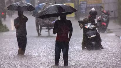 TN Rain : விடிய விடிய கொட்டி தீர்க்கபோகுது மக்களே.. 20 மாவட்டங்களில் கனமழை எச்சரிக்கை - வானிலை ஆய்வு மையம்!