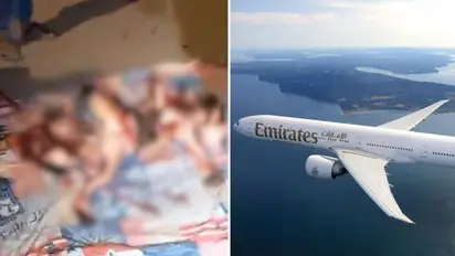 40 flamingos killed after Emirates flight hits flock near Mumbai airport; disturbing videos surface (WATCH)