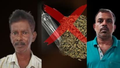 കാസർഗോഡ് 6 ലിറ്റർ ചാരായം, ആലപ്പുഴയിൽ 3 കിലോ കഞ്ചാവ്; എക്സൈസ് റെയ്ഡിൽ രണ്ട് പേർ പിടിയിൽ