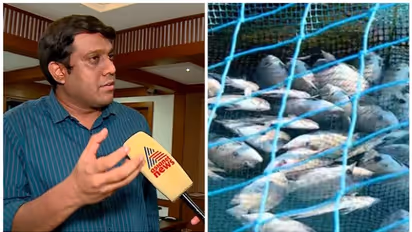 പെരിയാറിൽ മത്സ്യങ്ങൾ ചത്തുപൊങ്ങിയ സംഭവം; അന്വേഷണത്തിന് നിർദേശം നൽകി ജില്ലാ കളക്ടർ
