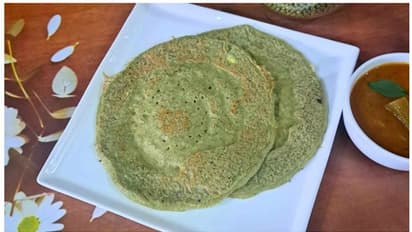 காலை டிபனுக்கு சத்தான இந்த மாதிரி தோசை செஞ்சு கொடுங்க.. விரும்பி சாப்பிடுவாங்க! ரெசிபி இதோ..