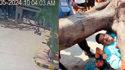 ಚಲಿಸುತ್ತಿದ್ದ ಸ್ಕೂಟರ್ ಮೇಲೆ ಬಿದ್ದ ಬೃಹತ್ ಮರ: ಗಂಡ ಸಾವು, ಹೆಂಡತಿ ಗಂಭೀರ: ಆಘಾತಕಾರಿ ದೃಶ್ಯ ವೈರಲ್