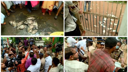 പെരിയാറിലെ മത്സ്യക്കുരുതി; ചത്തമീനുകളുമായി മലിനീകരണ നിയന്ത്രണ ബോർഡിന് മുന്നിൽ പ്രതിഷേധിച്ച് മത്സ്യക്കർഷകർ