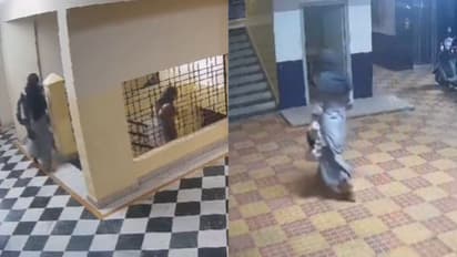 Brazen Robbery: Group Caught on Video Stealing Gold and Cash in Hyderabad [WATCH]