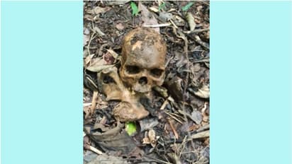 വയനാട് വനത്തിൽ തലയോട്ടിയും അസ്ഥികൂടവും കണ്ടെത്തി