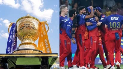 IPL 2025: RCB ने चैंपियन टीम के खिलाड़ी को खरीदा, 2 विकेटकीपर बेंगलुरु के साथ