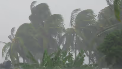 ಕರಾವಳಿಯಲ್ಲಿ ಯೆಲ್ಲೋ ಅಲರ್ಟ್‌: ಮೇ.29ರ ವರೆಗೆ ಭಾರಿ ಮಳೆ ಮುನ್ಸೂಚನೆ