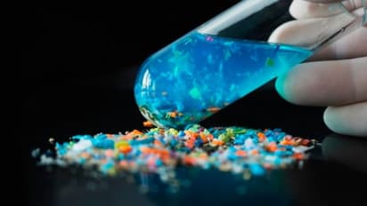 ಮಾನವನ ವೀರ್ಯದಲ್ಲಿ ಮೈಕ್ರೋಪ್ಲಾಸ್ಟಿಕ್, ಹೆಚ್ಚುತ್ತಿದೆ ಪುರುಷ ಬಂಜೆತನದ ಅಪಾಯ!