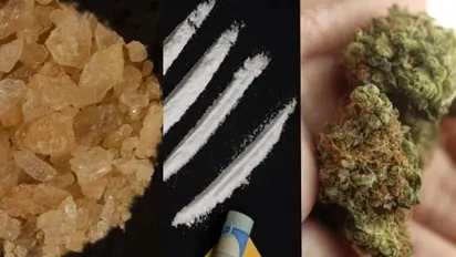 From cocaine-coated Rs 500 notes to MDMA, hydro cannabis: Items seized from lavish Bengaluru rave party