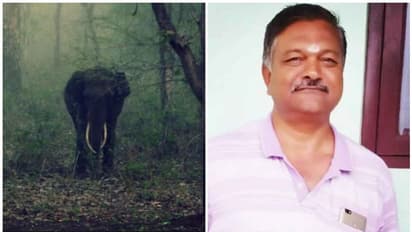 ഭാരതിയാര്‍ യൂണിവേഴ്‌സിറ്റി ക്യാമ്പസില്‍ കാട്ടാന ആക്രമണം; സുരക്ഷാ ജീവനക്കാരന് ദാരുണാന്ത്യം