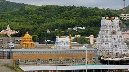 பக்தர்களுக்கு ஜாக்பாட்; திருப்பதியில் லட்டு மட்டும் இல்ல, இனி இதுவும் ப்ரீ தானாம்