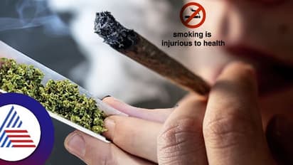 Karnataka: Marijuana kits introduced to detect smokers in Gangavathi