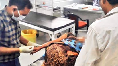 ಗರ್ಭಿಣಿ ಪತ್ನಿಯ ಹೊಟ್ಟೆಯೊಳಗಿರುವ ಮಗುವಿನ ಲಿಂಗ ತಿಳಿಯಲು ಹೊಟ್ಟೆ ಸೀಳಿದ ಪಾಪಿ ಗಂಡ!