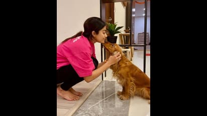 ಬೆಕ್ಕು, ನಾಯಿ ಜತೆಗಿನ ಫೋಟೋ ರಶ್ಮಿಕಾ ಹಂಚಿಕೊಂಡ್ರೆ,  'ಪ್ರಾಣಿಗಳಿಗೆ ನಿಯತ್ತಿದೆ..' ಅಂತಾ ಕಾಮೆಂಟ್‌ ಬರೋದ್ಯಾಕೆ?