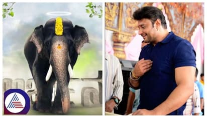 ನಟ ದರ್ಶನ್‌ ಕಳುಹಿಸಿದ್ದ ಕಲ್ಲುಗಳ ಹಣವನ್ನು ಅರಣ್ಯ ಇಲಾಖೆ ವಾಪಸ್ ಮಾಡಿದ್ಯಾ?