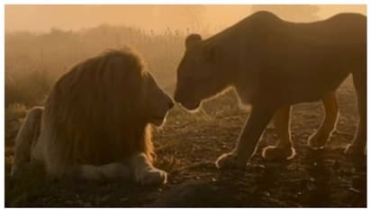 സിംഹ ചുംബനം; ഈ കാഴ്ചകാണാന്‍ അതിരാവിലെ നിങ്ങള്‍ എഴുന്നേല്‍ക്കുമോ? വൈറലായി ഒരു വീഡിയോ 