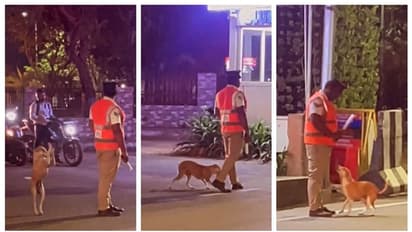 'ഒന്നടങ്ങിയിരിക്കെടാ'; ഡ്യൂട്ടിക്കിടയിൽ ട്രാഫിക് പൊലീസിനോട് ചങ്ങാത്തം കൂടാൻ എത്തിയ നായയുടെ വീഡിയോ വൈറൽ 