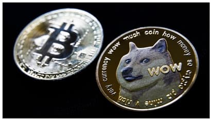 ഡോഗ്‌കോയിന് പ്രചോദനമായ ലോകപ്രശസ്ത ജാപ്പനീസ് നായ 'കബോസു' വിടവാങ്ങി