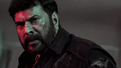 മമ്മൂട്ടിയുടെ ടര്ബോ കുതിപ്പ് തുടരുന്നു, കളക്ഷൻ കണക്കുകള് പുറത്ത്