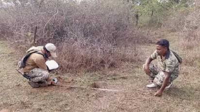 ಆನೆ ಲದ್ದಿ ಮೂಲಕ ಗಜಗಣತಿ: ಪ್ರತಿ ಬೀಟ್ನ 2ಕಿಮೀಗಳ ವ್ಯಾಪ್ತಿಯಲ್ಲಿ ಪರಿಶೀಲನೆ