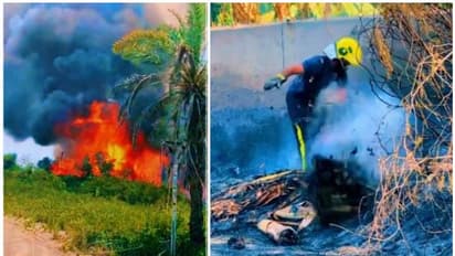 ഒമാനില് ഫാമില് തീപിടിത്തം; കനത്ത നാശനഷ്ടം