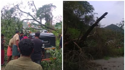 അട്ടപ്പാടിയിൽ ചികിത്സ വീഴ്ച; മഴക്കെടുതിയിൽ ഗുരുതരപരിക്കേറ്റ് യുവാവ്; വിദഗ്ധ ചികിത്സ നൽകാൻ 3 മണിക്കൂർ വൈകി