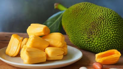 फणस कसा कापायचा? फणसाचे गर घरच्या घरी कसे काढायचे? जाणून घ्या सोपी पद्धत