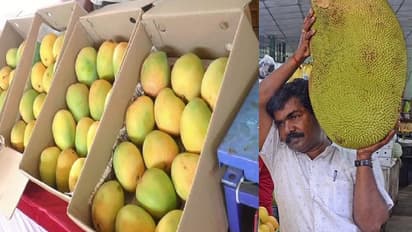 ಒಂದೇ ಸೂರಿನಡಿ ಬಾಯಲ್ಲಿ ನೀರೂರಿಸೋ ಬಗೆ ಬಗೆಯ ಮಾವು, ಹಲಸುಗಳು: ಮೇಳ ನಡೆಯುತ್ತಿರುವುದು ಎಲ್ಲಿ?