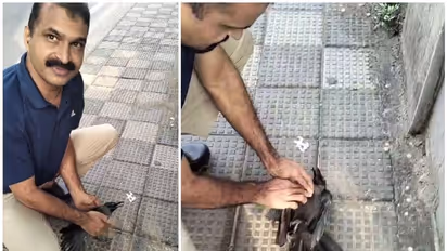 ഒരു ജീവനല്ലേ അതും...; ഷോക്കേറ്റ് വീണ കാക്കയ്ക്ക് രക്ഷയായി ഫയര്‍ ഫോഴ്സ് ഉദ്യോഗസ്ഥര്‍