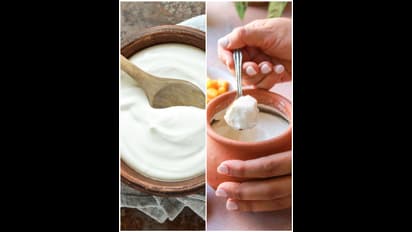 తక్కువ అంచనా వేయకండి... పెరుగుతో అశుభాలు కూడా శుభమౌతాయా..?